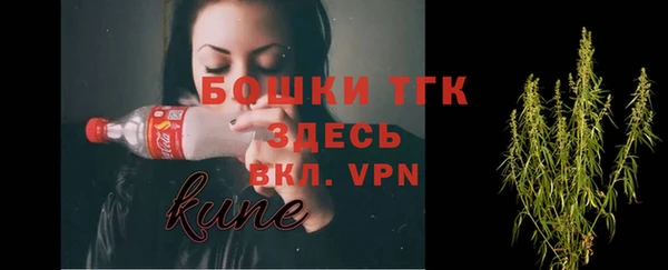 стаф Аркадак