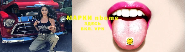 стаф Аркадак