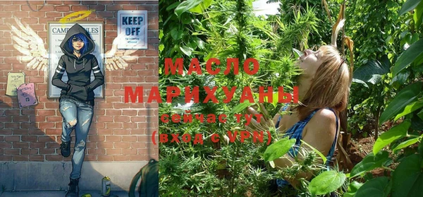 стаф Аркадак