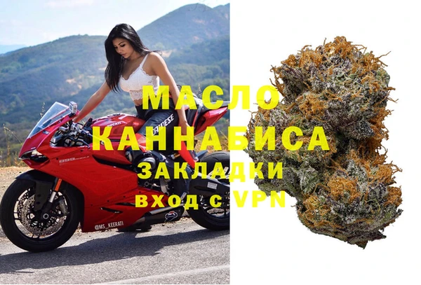 стаф Аркадак