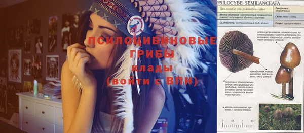 МДМА Арсеньев