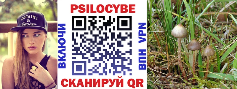 Галлюциногенные грибы Cubensis  Купить где  Кунгур 